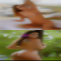 League City, swingers