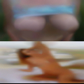 Horny women Winfield